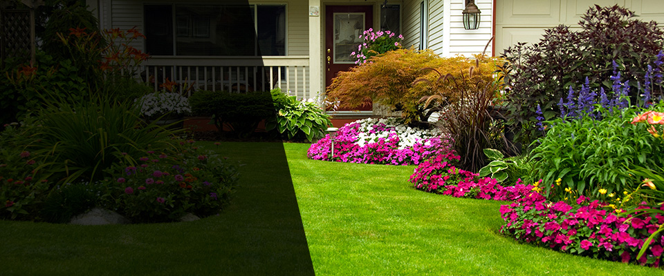 Mapleton Landscapers